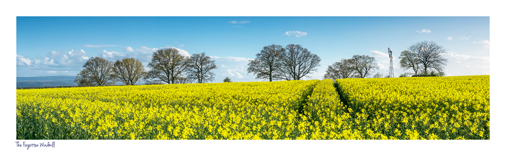 images from wales - Ian Nicholson Photography - Builth Wells